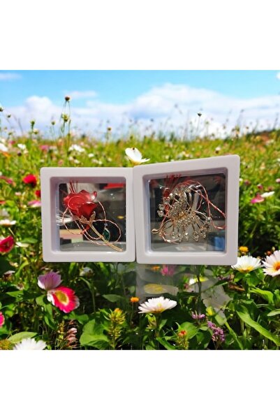 Vision XXI Set of 2 Martisor Large 3D Brooch, 4x4cm, Butterfly with Rhineston...