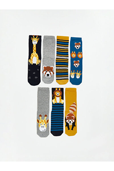 LC Waikiki Rmz Gi̇yi̇m Farkiyla Embroidered Boys' Socks 7-Pack