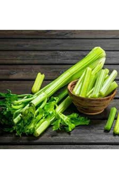 Hamile Marketim sap kereviz (kereviz sap) 3adt