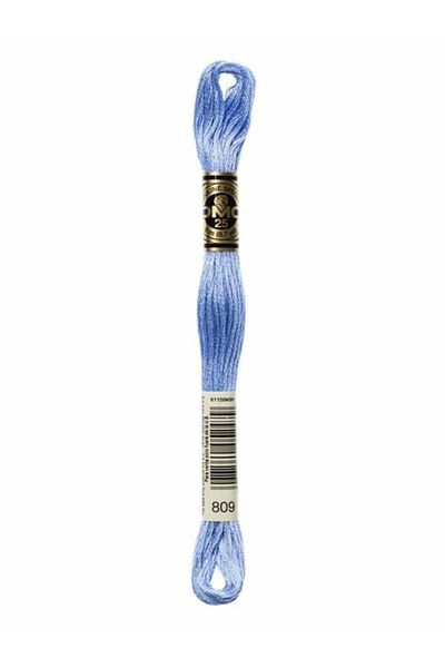 Dmc Muline Embroidery Thread 1-3866