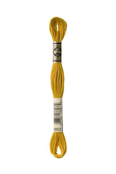 Dmc Muline Embroidery Thread 1-3866
