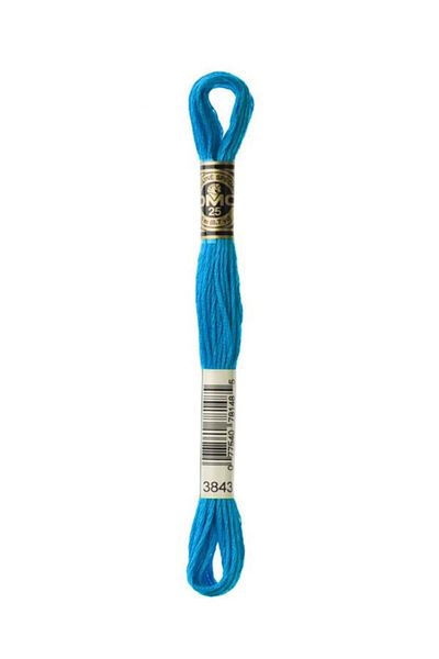 Dmc Muline Embroidery Thread 1-3866