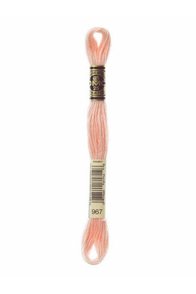 Dmc Muline Embroidery Thread 1-3866