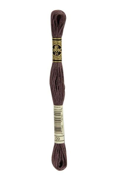 Dmc Muline Embroidery Thread 1-3866