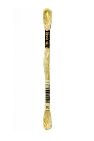 Dmc Muline Embroidery Thread 1-3866