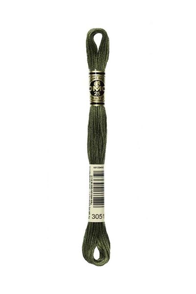Dmc Muline Embroidery Thread 1-3866