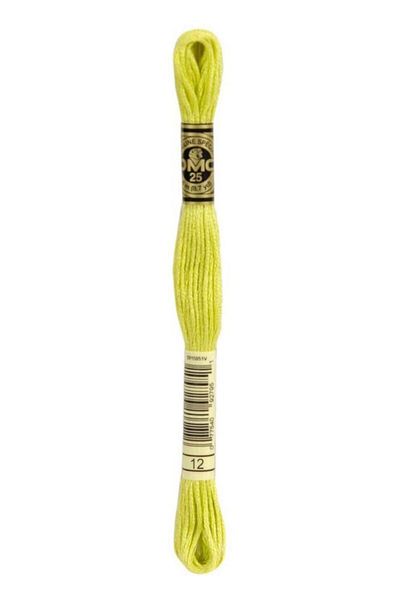 Dmc Muline Embroidery Thread 1-3866