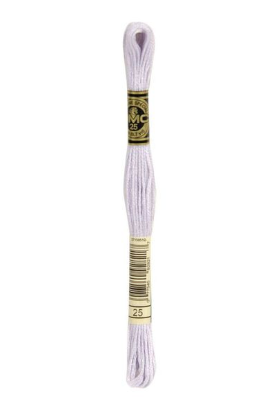 Dmc Muline Embroidery Thread 1-3866