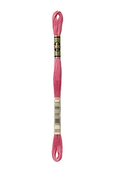 Dmc Muline Embroidery Thread 1-3866