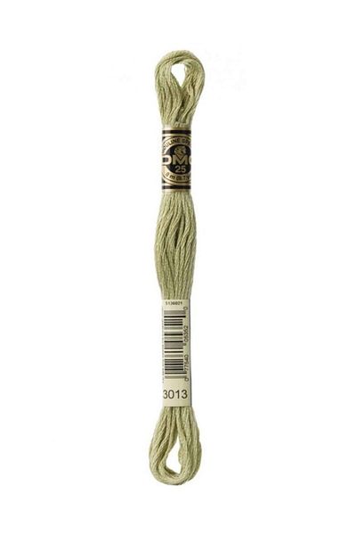 Dmc Muline Embroidery Thread 1-3866