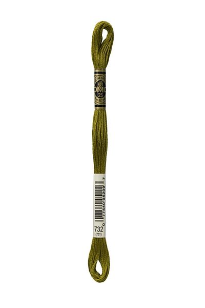 Dmc Muline Embroidery Thread 1-3866