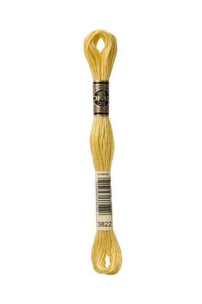 Dmc Muline Embroidery Thread 1-3866