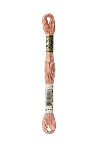 Dmc Muline Embroidery Thread 1-3866