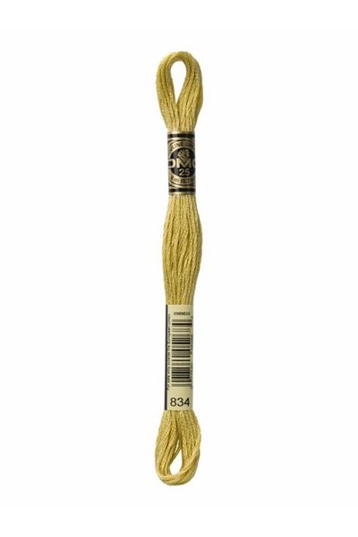Dmc Muline Embroidery Thread 1-3866