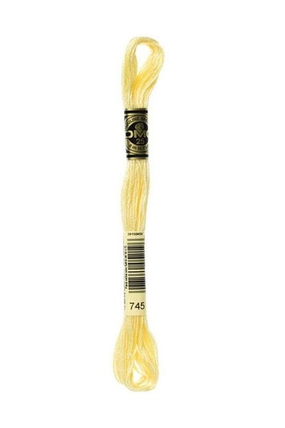 Dmc Muline Embroidery Thread 1-3866