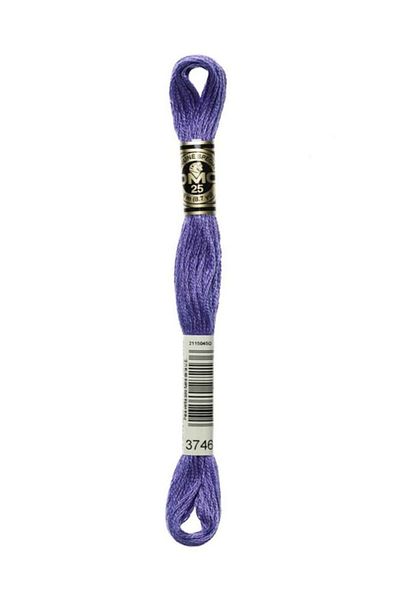Dmc Muline Embroidery Thread 1-3866