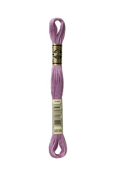 Dmc Muline Embroidery Thread 1-3866