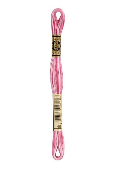 Dmc Muline Embroidery Thread 1-3866