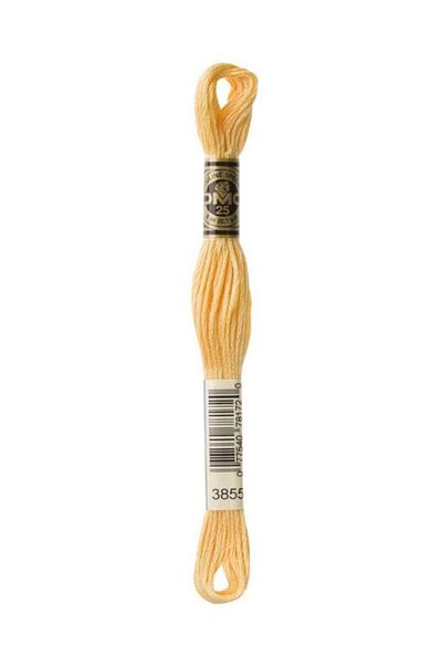 Dmc Muline Embroidery Thread 1-3866