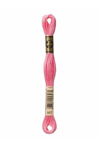 Dmc Muline Embroidery Thread 1-3866