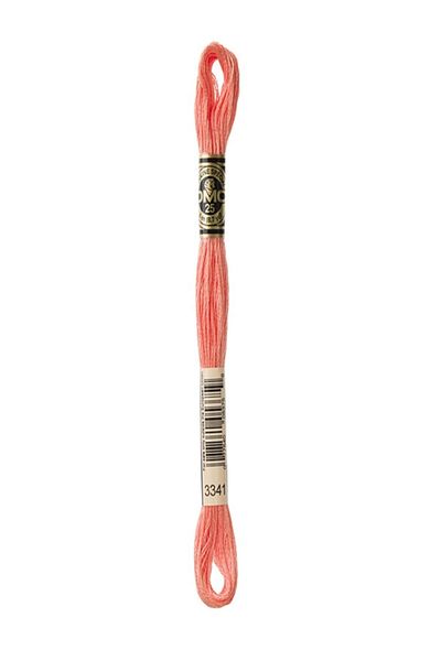 Dmc Muline Embroidery Thread 1-3866