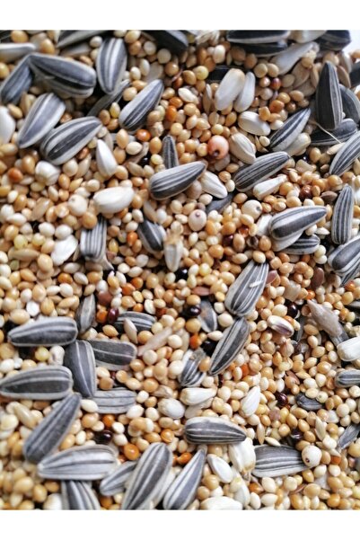 Vivid Bird 724 Paraket Yemi 10 Kg (sultan, Sevda, Cennet)