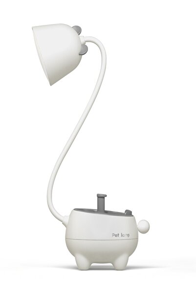 ORİJİNALDÜKKAN Özel Tasarım Pet Şarjlı Gece Masa Lambası Dokunmatik 3 Farklı ...