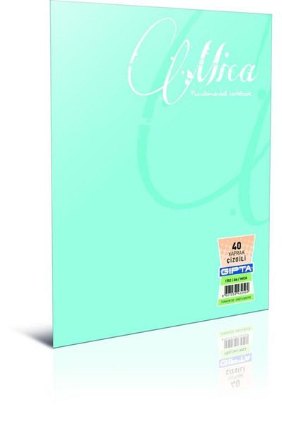 Gıpta Mica Wire Stitched Plastic Cover Notebook A5 60 Sheets Unlined