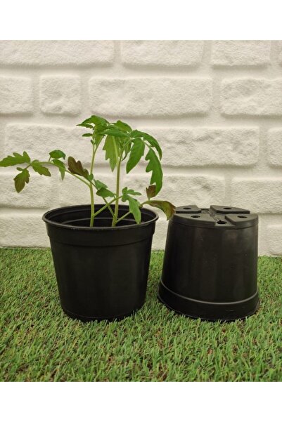 Asenya Üretim Saksısı 5 Adet 1,3 Lt Siyah Üretim Saksısı Yuvarlak Saksı Plast...