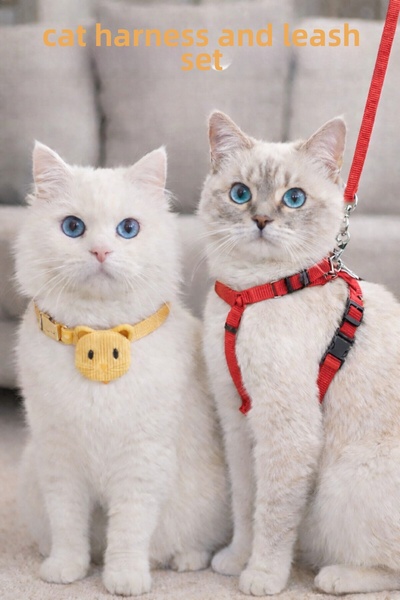 CNSZ Cat Collar and Leash Set with Strap 1.55cm Set