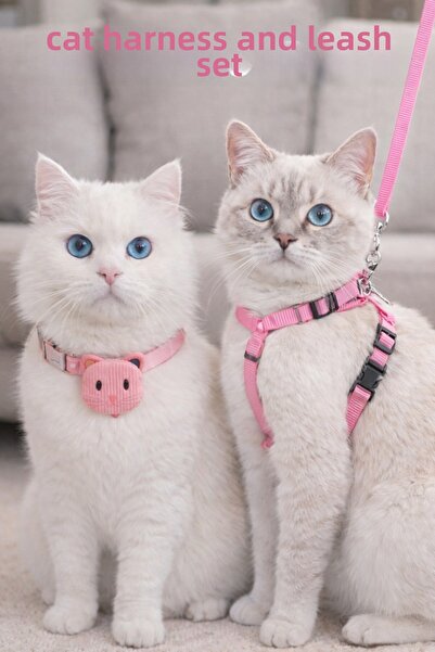 CNSZ Cat Collar and Leash Set with Strap 1.55cm Set