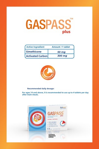 Wellcare Gaspass Plus 20 Tablets