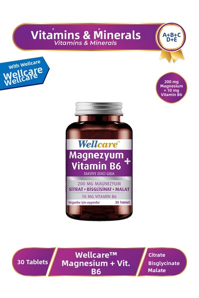 Wellcare المغنيسيوم + فيتامين ب6 - 30 قرص