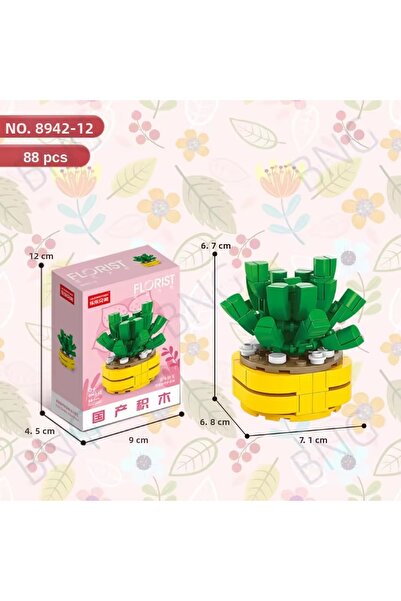 synshop Succulent Fenestraria Aurantiaca Potted Flower Decor 88Pieces Bricks ...