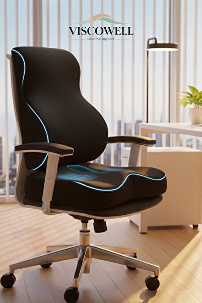 ViscoWell وسادة دعم أسفل الظهر للسيارة والمكتب والكرسي ووسادة جلوس فيسكو
