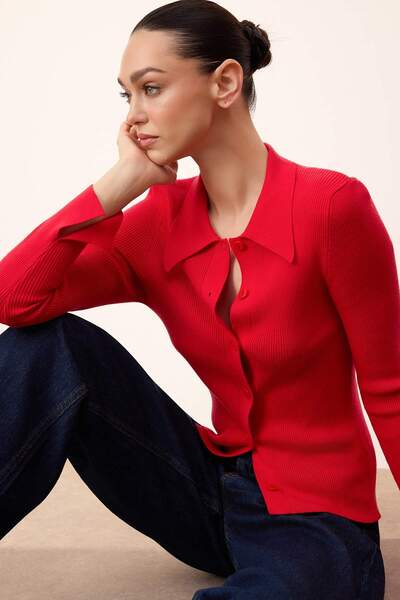 Trendyol Collection Wardrobe Essentials Red Premium Yarn Polo Neck Knitwear C...