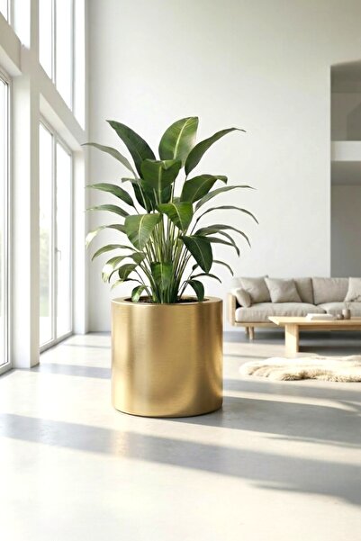 SAMAT Gold Renkli Silindir Fiber Saksı 50cm X 50cm - İç/Dış Mekan Dekoratif B...