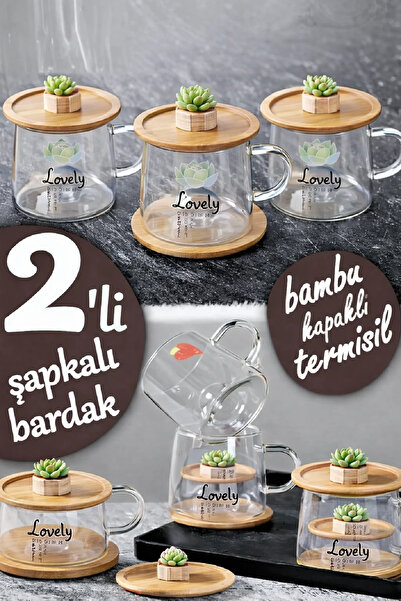 Berdina Home 3D Sukulent Figürlü Baskılı Sıcak Soğuk Borosilikat Cam Meşrubat...