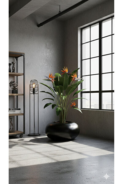 KastaSaksı Gravel Saksı 50x40 SİYAH Fiberglass El Yapımı Canlı Bitki Uyumlu