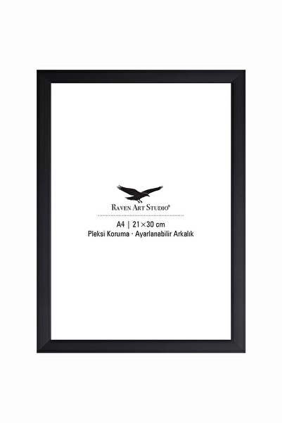 Raven Art Studio Ermitaj A4 Ebat 21cm x 30cm Siyah Resim Fotoğraf Belge Poste...