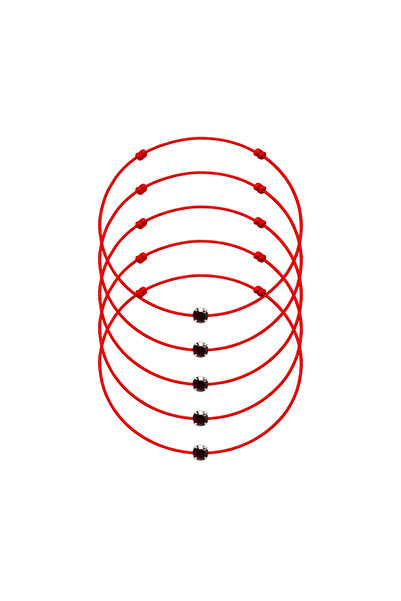 MANAVA 5 Preciosa Amethyst Crystal Martisors