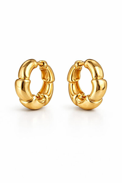 Leo'Stone New Season Layered Oyster Design Curved Polished Women's Steel Earr...