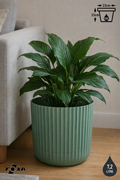 ToXA 7 Litre Sütun Saksı