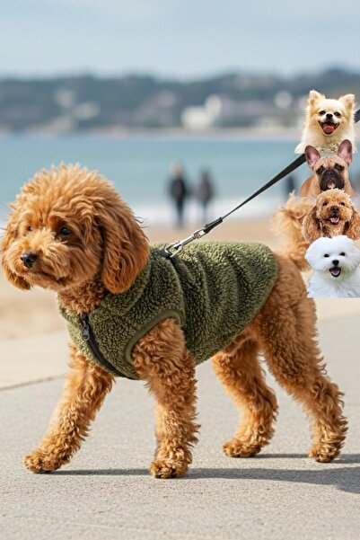 salya store Zippered Khaki Teddy Plush Dog Coat