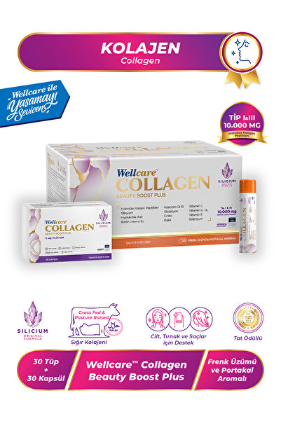 Wellcare كولاجين بيوتي بوست بلس بنكهة الكشمش الأسود والبرتقال 10.000 مجم - 30...