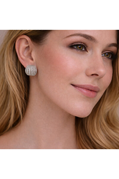 Silver Plated Luxury Earrings with Zircon Gemstone (does not tarnish)