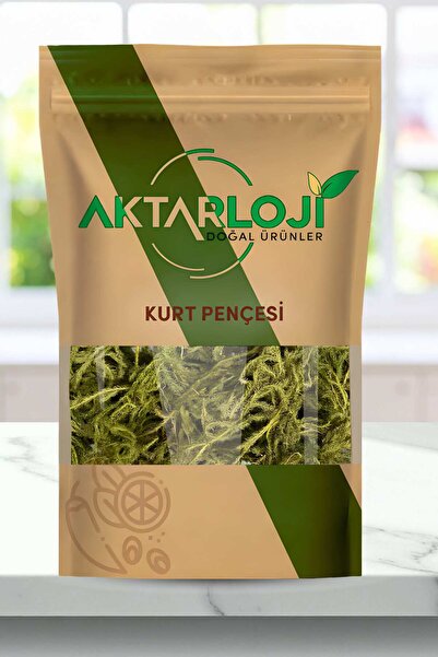 aktarloji 150 Gr Kurt Pençesi Otu / Kibrit Otu - Yeni Mahsül - Katkısız & Doğal