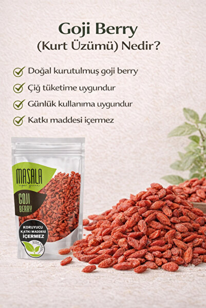 Super Gurme Masala Goji Berry 1 kg - Kurt Üzümü