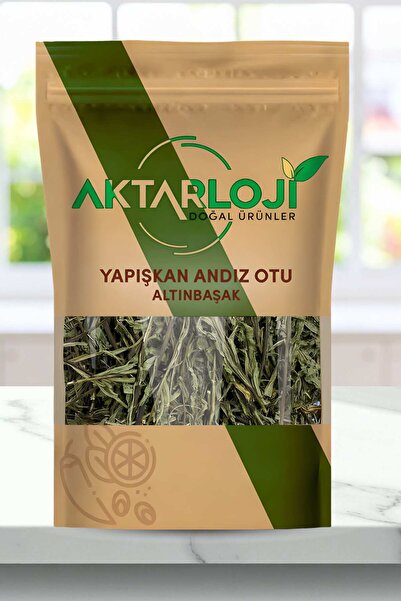 aktarloji 100 Gr Yapışkan Andız Otu / Andız Otu Çayı - Yeni Mahsül - Katkısız...