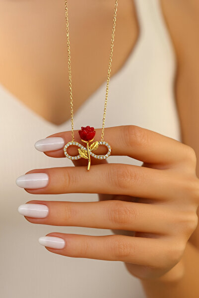 ÇEKİRDEK JEWELRY 925 Ayar Gümüş Sonsuzluk Güllü Kolye